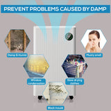 Olsen & Smith 20L/Day Dehumidifier & HEPA Air Purifier – Quiet Portable Dehumidifier for Home, Laundry Drying, Damp Control, Bedroom, Kitchen & Bathroom (5.5L Tank + Drain Hose)