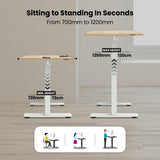 Olsen & Smith Premium Electric Standing Desk & XTREME RGB Gaming Chair Bundle with Bluetooth Speakers, LED Lights, Adjustable Height, Lumbar Support, Headrest & Footrest